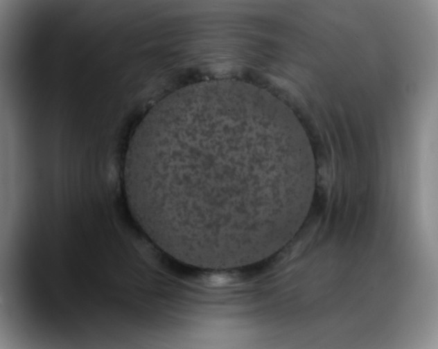 X0000089880662200707121813