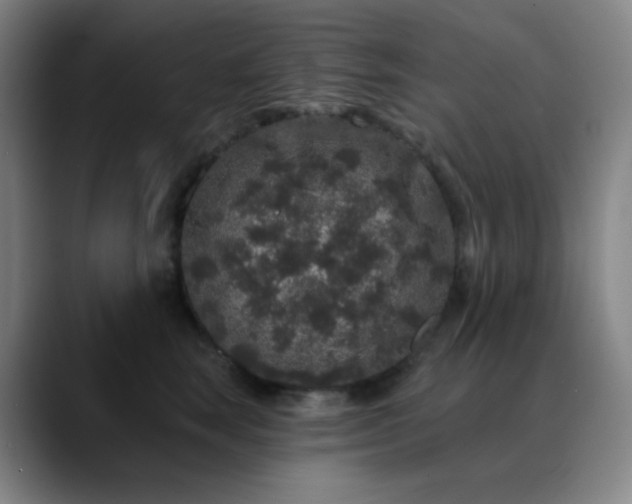 X0000089880663200707121813