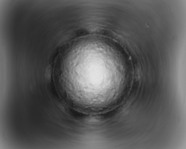 X0000089880664200707121813