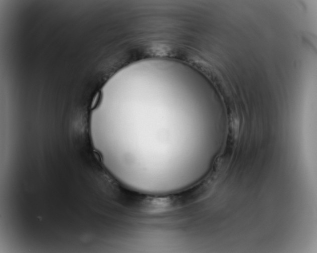 X0000089880665200707121813