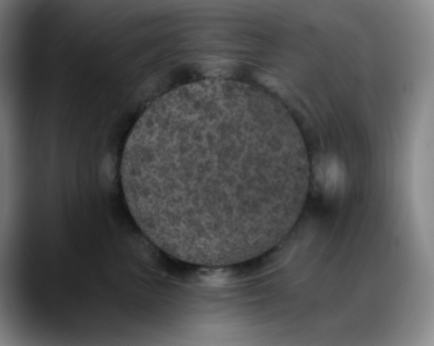 X0000089880667200707121813