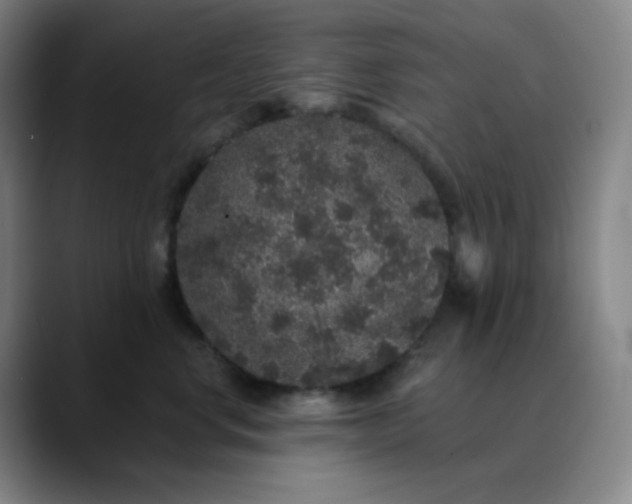 X0000089880668200707121813