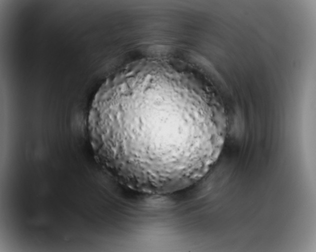 X0000089880669200707121813