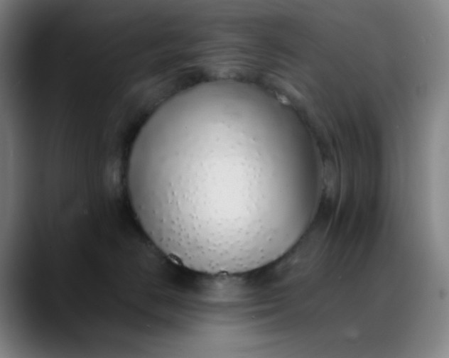 X0000089880670200707121813