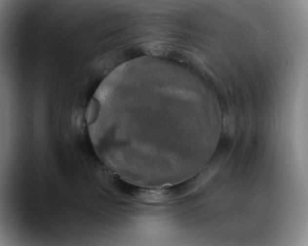 X0000089880671200707121813