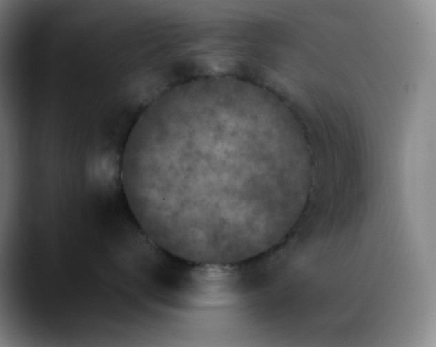 X0000089880672200707121813