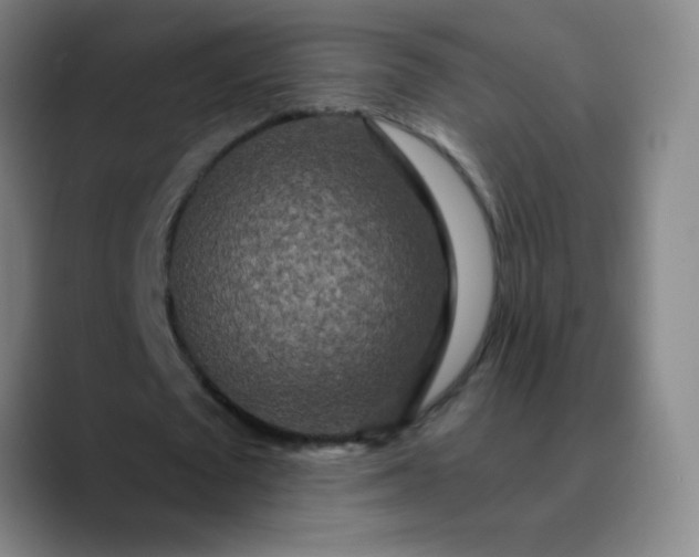 X0000089880673200707121813