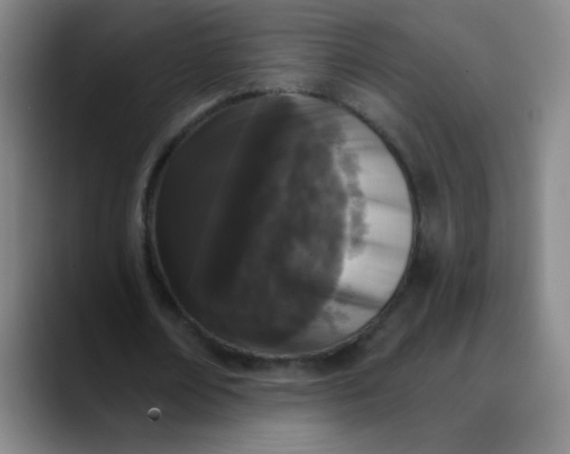 X0000089880674200707121813