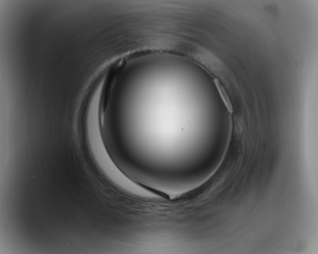 X0000089880676200707121813