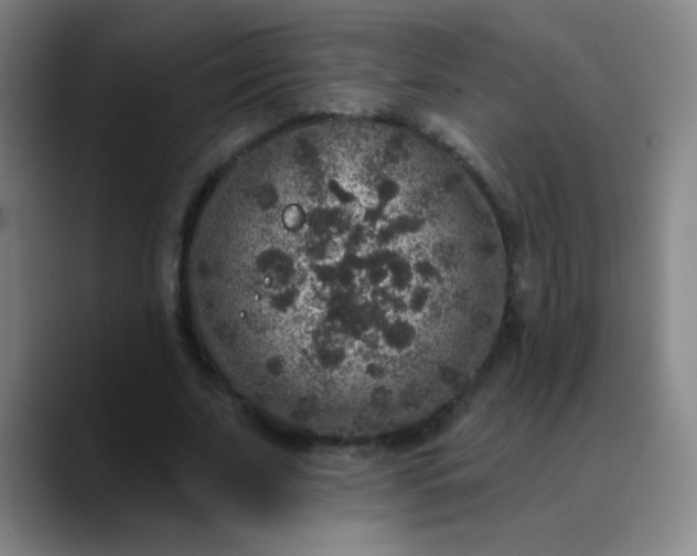 X0000089880679200707121813