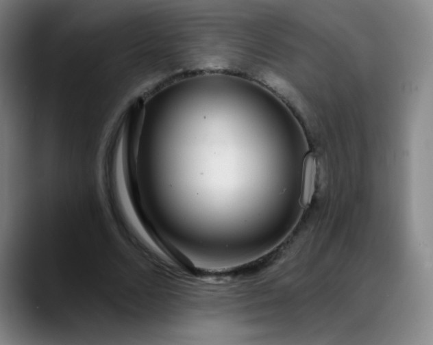 X0000089880680200707121813