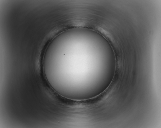 X0000089880682200707121813