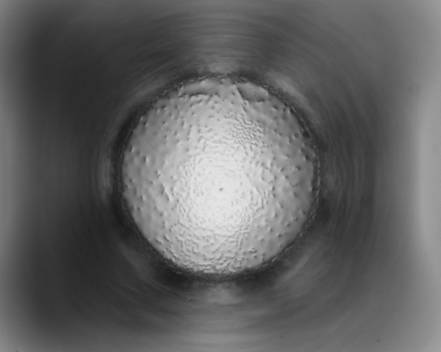 X0000089880683200707121813