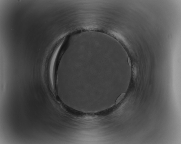 X0000089880684200707121813