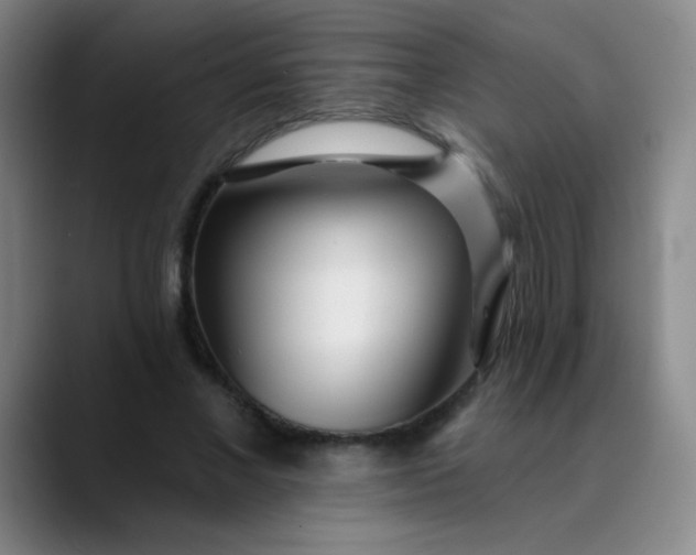 X0000089880685200707121813