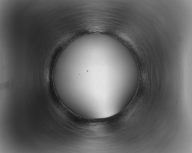 X0000089880686200707121813