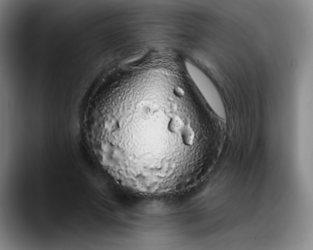 X0000089880687200707121813