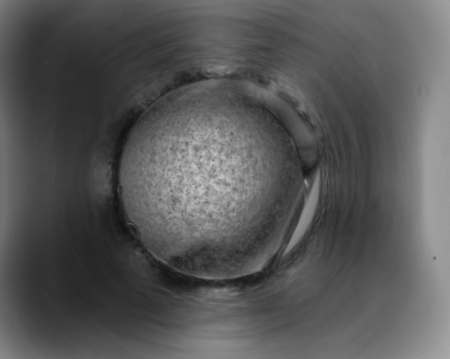 X0000089880689200707121813