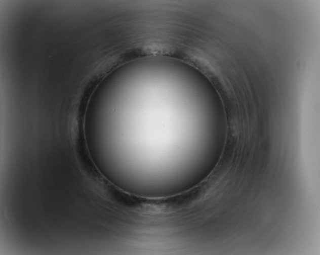 X0000089880690200707121813