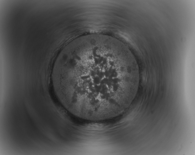 X0000089880691200707121813