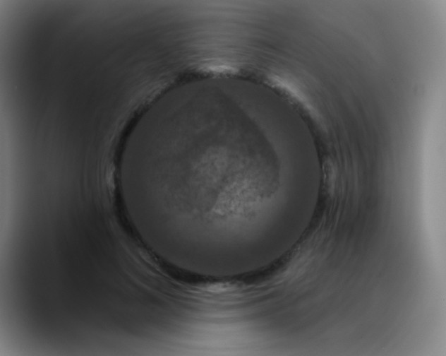 X0000089880692200707121813