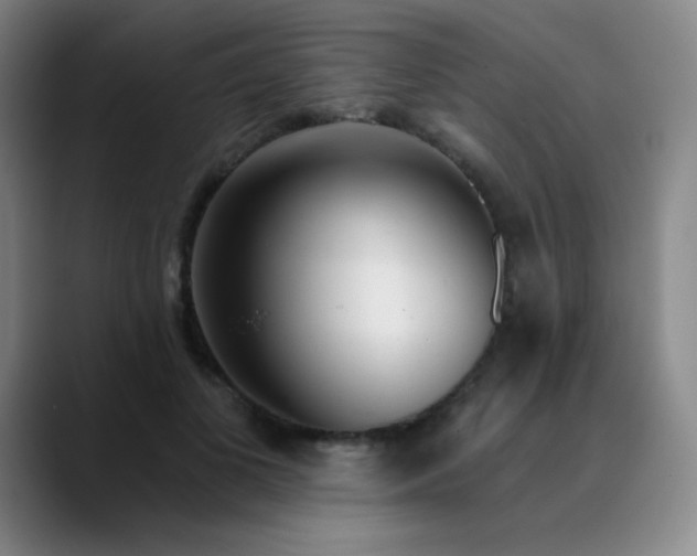 X0000089880693200707121813