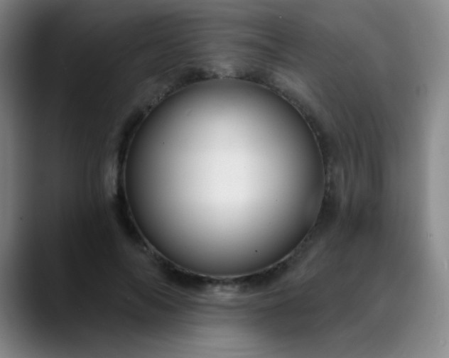 X0000089880694200707121813