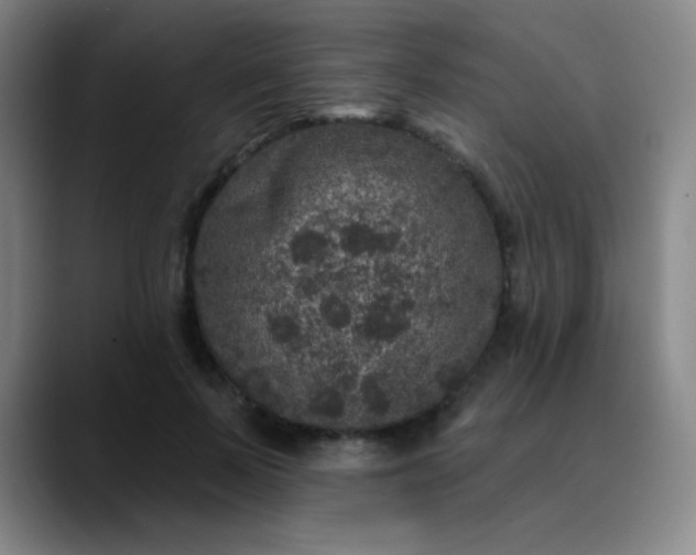 X0000089880695200707121813