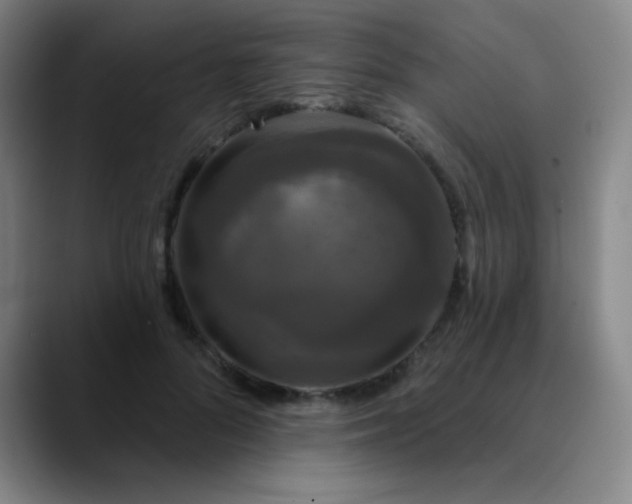 X0000089880696200707121812