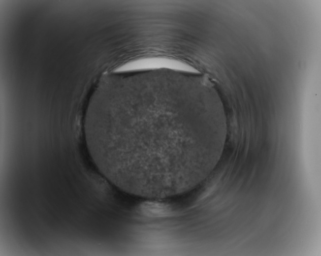 X0000089880699200707121812