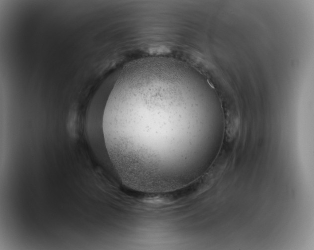 X0000089880704200707121812