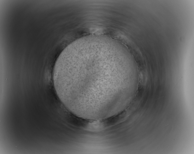 X0000089880705200707121812