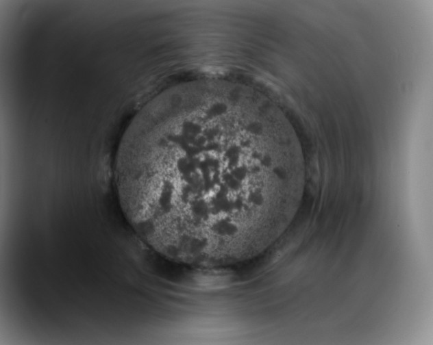 X0000089880707200707121812