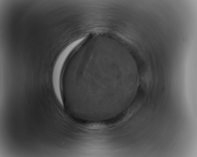 X0000089880708200707121812