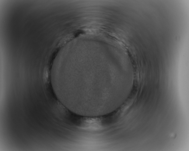 X0000089880709200707121812