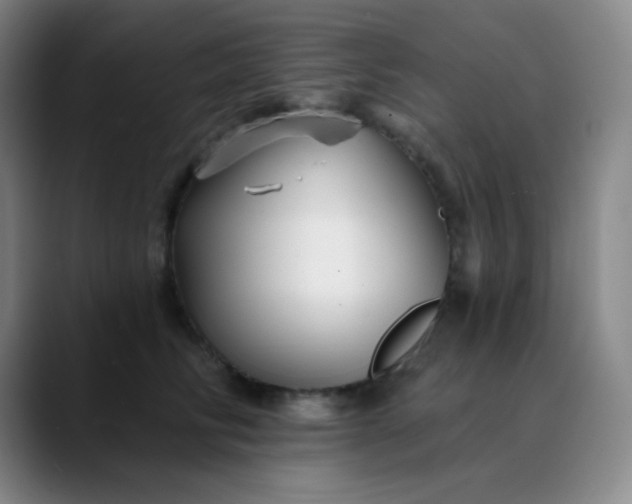 X0000089880710200707121812