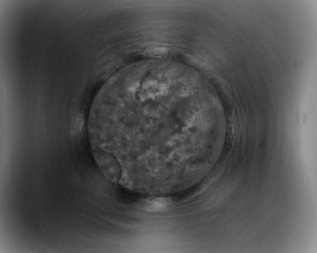 X0000089880711200707121812