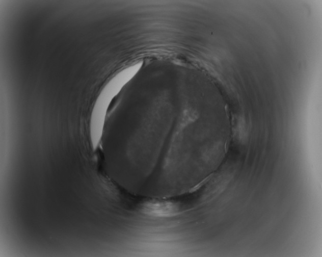 X0000089880712200707121812