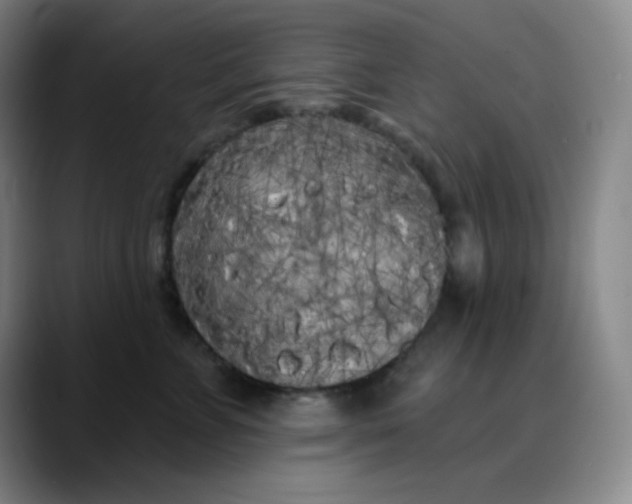 X0000089880715200707121812