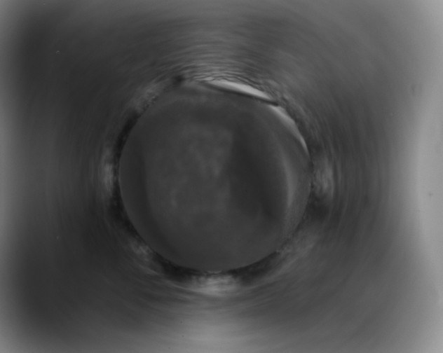 X0000089880716200707121812