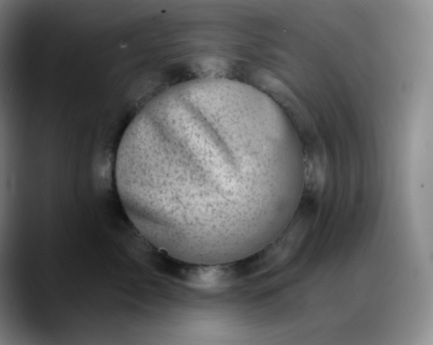 X0000089880717200707121812