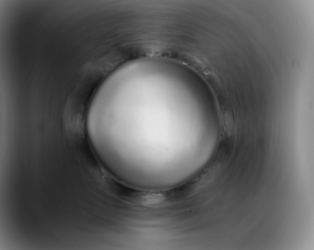 X0000089880719200707121812