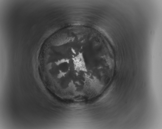 X0000089880721200707121812