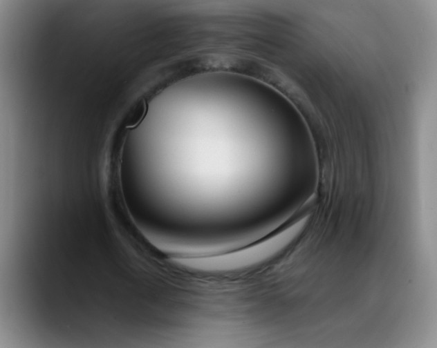 X0000089880722200707121812