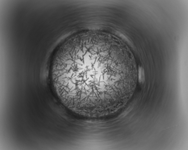 X0000089880723200707121812