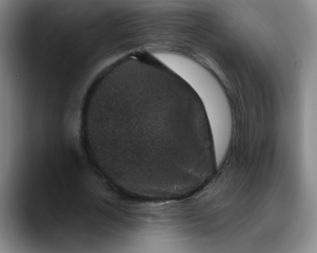 X0000089880724200707121812