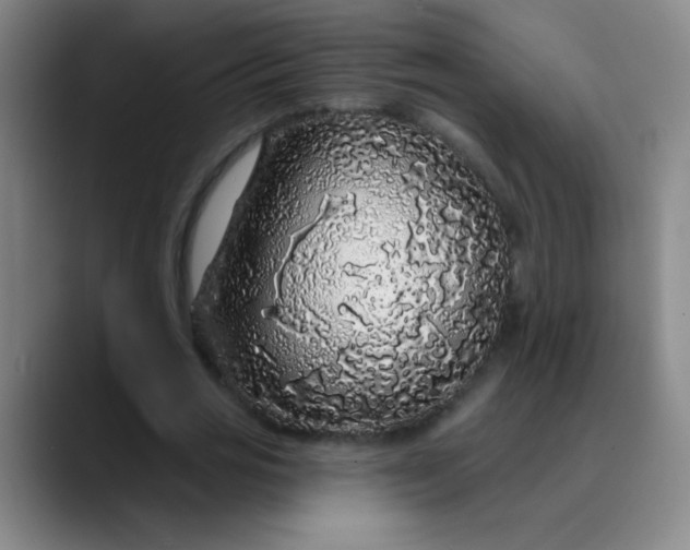 X0000089880725200707121812