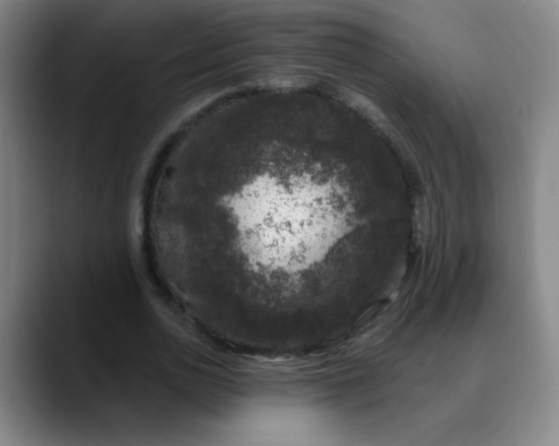 X0000089880726200707121812