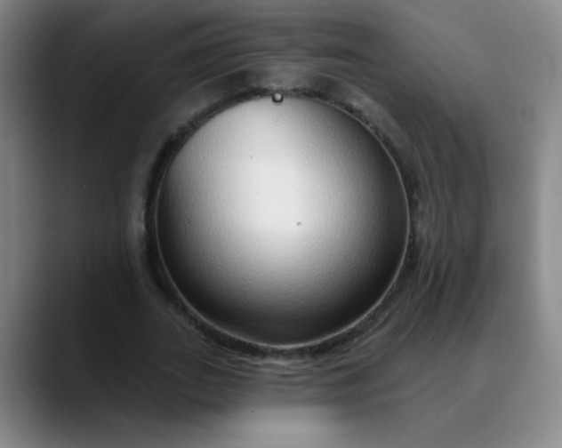 X0000089880727200707121812