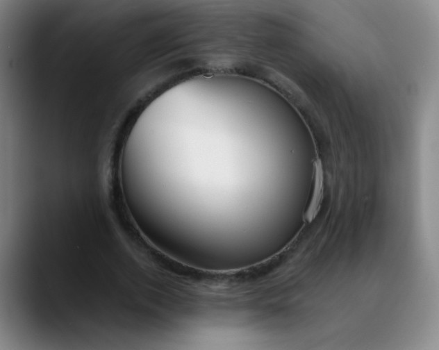 X0000089880728200707121812